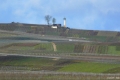 P1170766