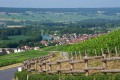 DSC7965