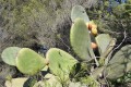 20191009_103323