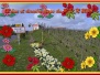 2023-03-26-Chigny le Roses