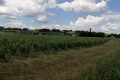 IMG-20230605-WA0052