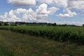 IMG-20230605-WA0058