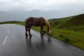 IMG-20230609-WA0013
