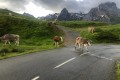IMG-20230609-WA0022