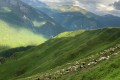 IMG-20230609-WA0024