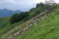IMG-20230609-WA0027
