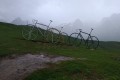 IMG-20230609-WA0029