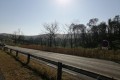 IMG_20230604_183915