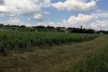 IMG_20230605_154244