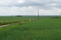 P1000765
