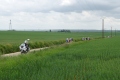 P1000766