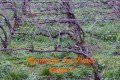 RDN2026_Etape05_12