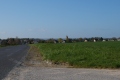 P1000611
