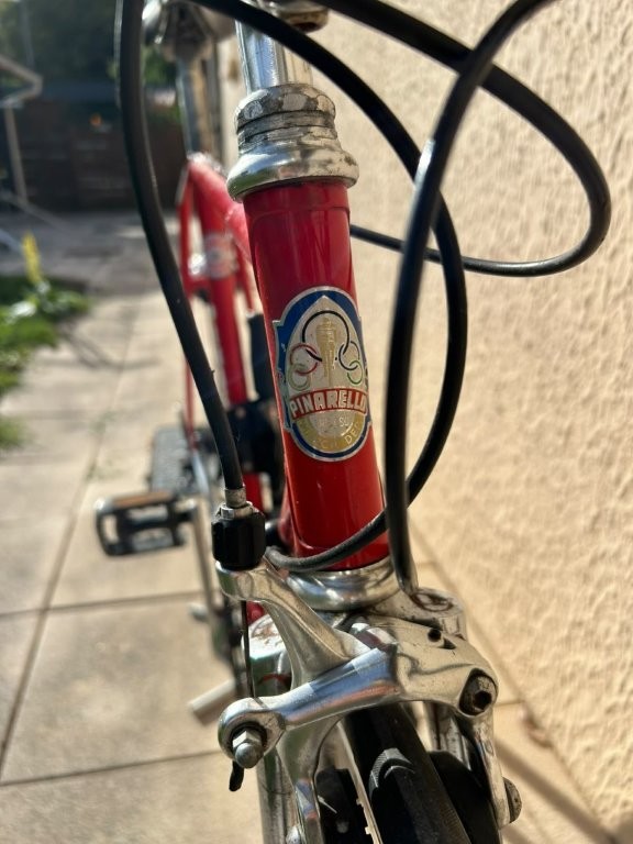 Pinarello Tréviso - photo 2